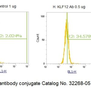 Human Krueppel-like Factor 12 (KLF12) AssayLite Antibody (FITC Conjugate)