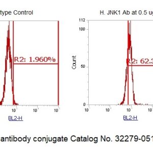 Human JNK1 AssayLite Antibody (RPE Conjugate)