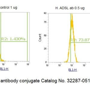 Human Adenylosuccinate Lyase (ADSL) AssayLite Antibody (FITC Conjugate)