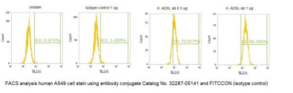 Human Adenylosuccinate Lyase (ADSL) AssayLite Antibody (FITC Conjugate)