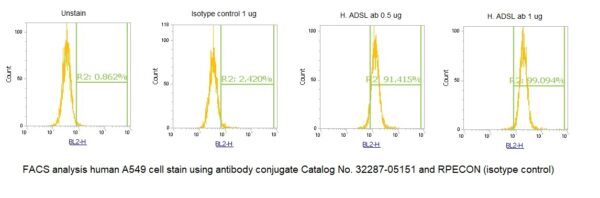 Human Adenylosuccinate Lyase (ADSL) AssayLite Antibody (RPE Conjugate)