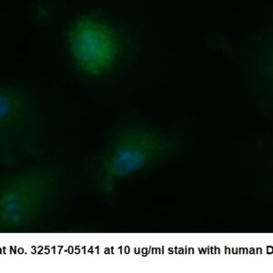 Human CYTIP AssayLite Antibody (FITC Conjugate)