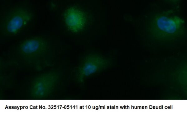 Human CYTIP AssayLite Antibody (FITC Conjugate)