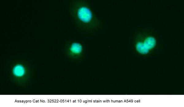 Human CLEC4E AssayLite Antibody (FITC Conjugate)