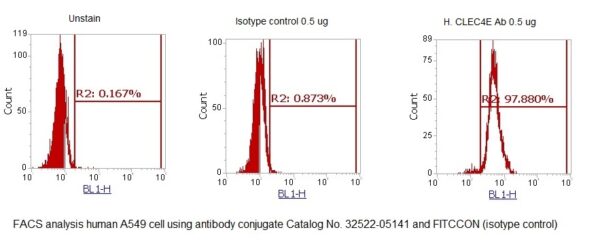 Human CLEC4E AssayLite Antibody (FITC Conjugate) - Image 2