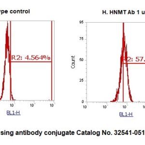 Human HNMT AssayLite Antibody (FITC Conjugate)