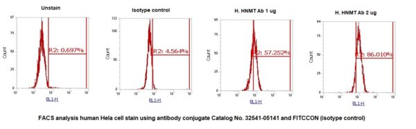 Human HNMT AssayLite Antibody (FITC Conjugate)
