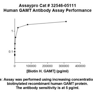 Human GAMT Antibody