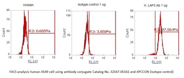 Human LAP3 AssayLite Antibody (APC Conjugate) - Image 2
