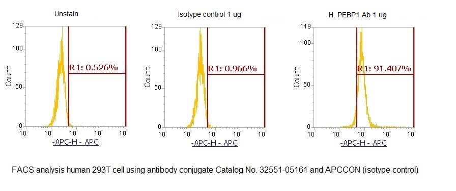 Human PEBP1 AssayLite Antibody (APC Conjugate) - Image 2