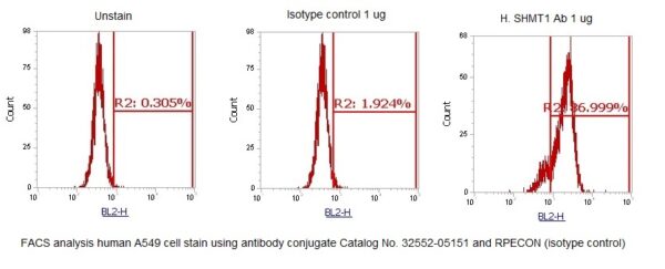 Human SHMT1 AssayLite Antibody (RPE Conjugate)