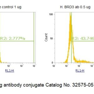 Human BRD3 AssayLite Antibody (APC Conjugate)