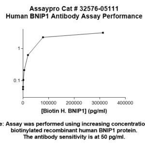 Human BNIP1 Antibody