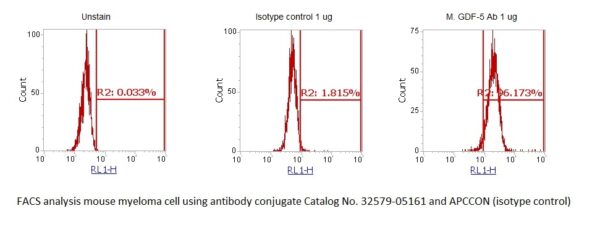 Mouse GDF-5 AssayLite Antibody (APC Conjugate)