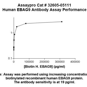 Human EBAG9 Antibody