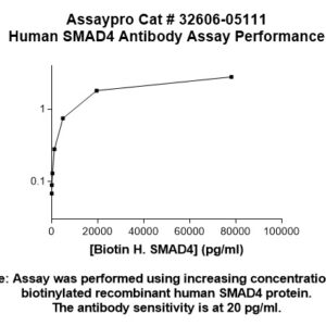 Human SMAD4 Antibody