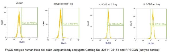 Human SOD2 AssayLite Antibody (RPE Conjugate) - Image 2