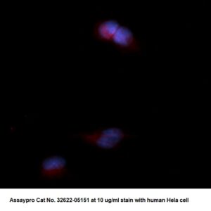Human COMT AssayLite Antibody (RPE Conjugate)