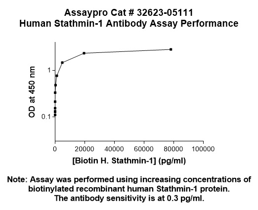 Human Stathmin-1 Antibody