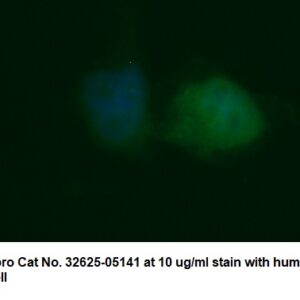 Human AKR1C3 AssayLite Antibody (FITC Conjugate)