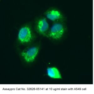 Human Peroxiredoxin-2 (PRDX2) AssayLite Antibody (FITC Conjugate)