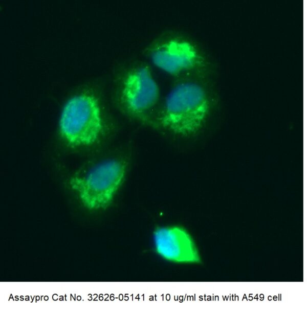 Human Peroxiredoxin-2 (PRDX2) AssayLite Antibody (FITC Conjugate)