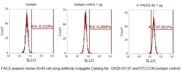 Human Peroxiredoxin-2 (PRDX2) AssayLite Antibody (FITC Conjugate) - Image 2