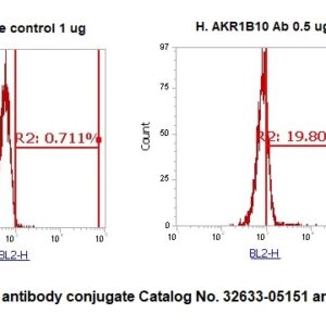 Human AKR1B10 AssayLite Antibody (RPE Conjugate)