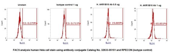 Human AKR1B10 AssayLite Antibody (RPE Conjugate)