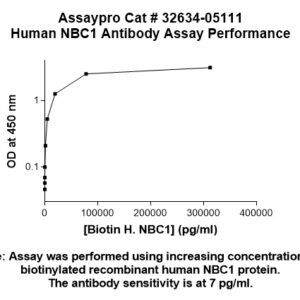 Human SLC4A4 Antibody (Biotin Conjugate)
