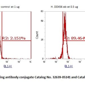 Human DDX56 Antibody (FITC Conjugate)