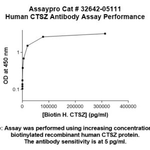Human Cathepsin Z (CTSZ) Antibody