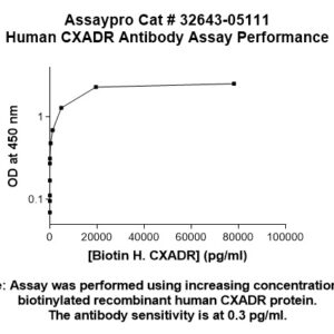 Human CXADR Antibody (Biotin Conjugate)