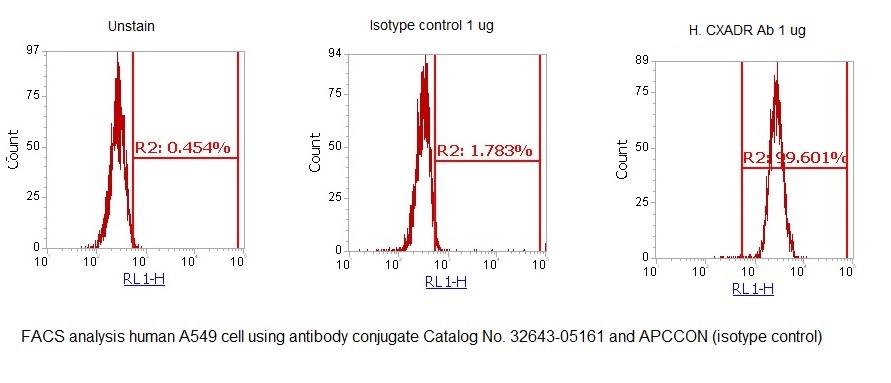 Human CXADR AssayLite Antibody (APC Conjugate) - Image 2