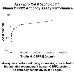 Human CSRP2 Antibody