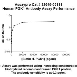 Human PGK1 Antibody