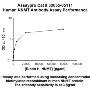 Human NNMT Antibody (Biotin Conjugate)