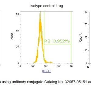 Human Casein Kinase 2 alpha (CK2 alpha) AssayLite Antibody (RPE Conjugate)