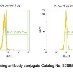 Human ACP6 AssayLite Antibody (RPE Conjugate)