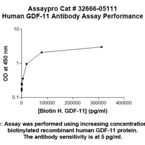 Human GDF-11 Antibody