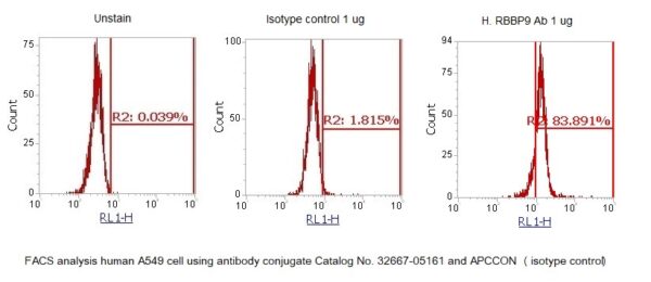 Human RBBP9 AssayLite Antibody (APC Conjugate) - Image 2