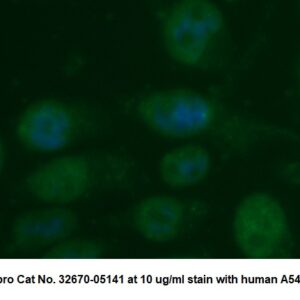 Human TGFBR2 AssayLite Antibody (FITC Conjugate)