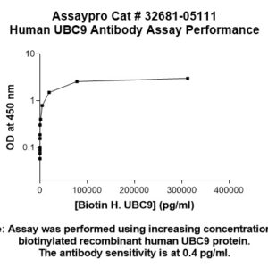 Human UBC9 Antibody