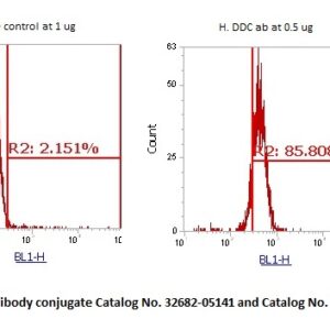 Human DOPA Decarboxylase (DDC) AssayLite Antibody (FITC Conjugate)