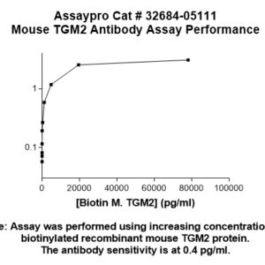 Mouse Transglutaminase 2 (TGM2) Antibody