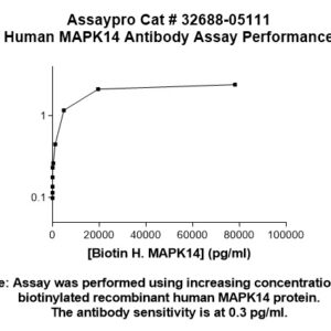 Human MAPK14 (p38 alpha) Antibody