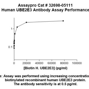 Human UBE2E3 Antibody