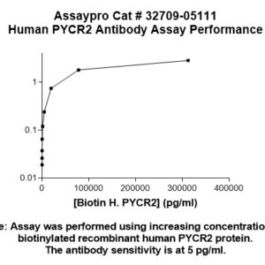Human PYCR2 Antibody