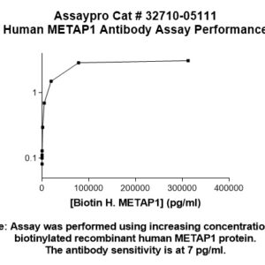 Human METAP1 Antibody