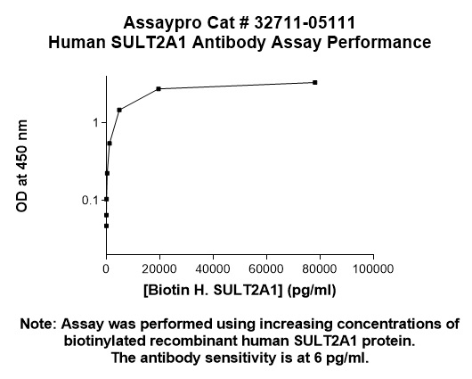 Human SULT2A1 Antibody